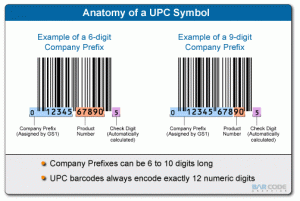 diagram-upc-anatomy